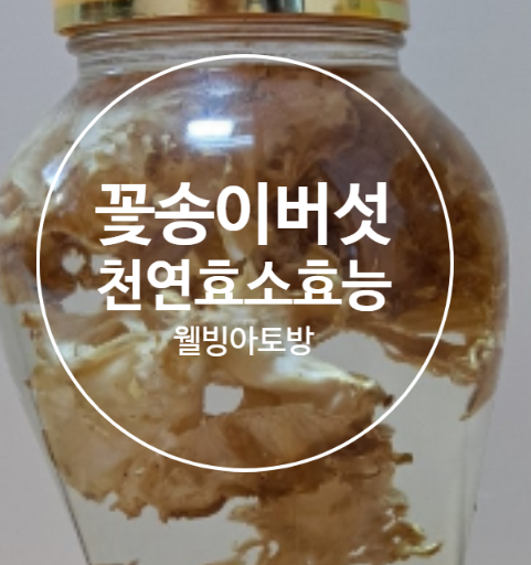 약용 꽃송이버섯효소 효능과 만드는법 건강을 위해 먹어야 하는 천연효소