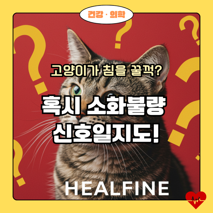  고양이 구토, 밥 먹고 바로 토하는 이유와 대처법 총정리