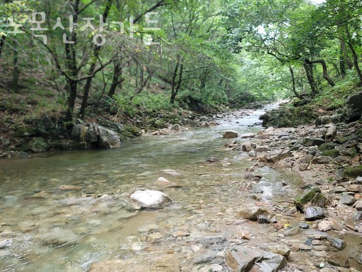 노목산장가든 사진 3