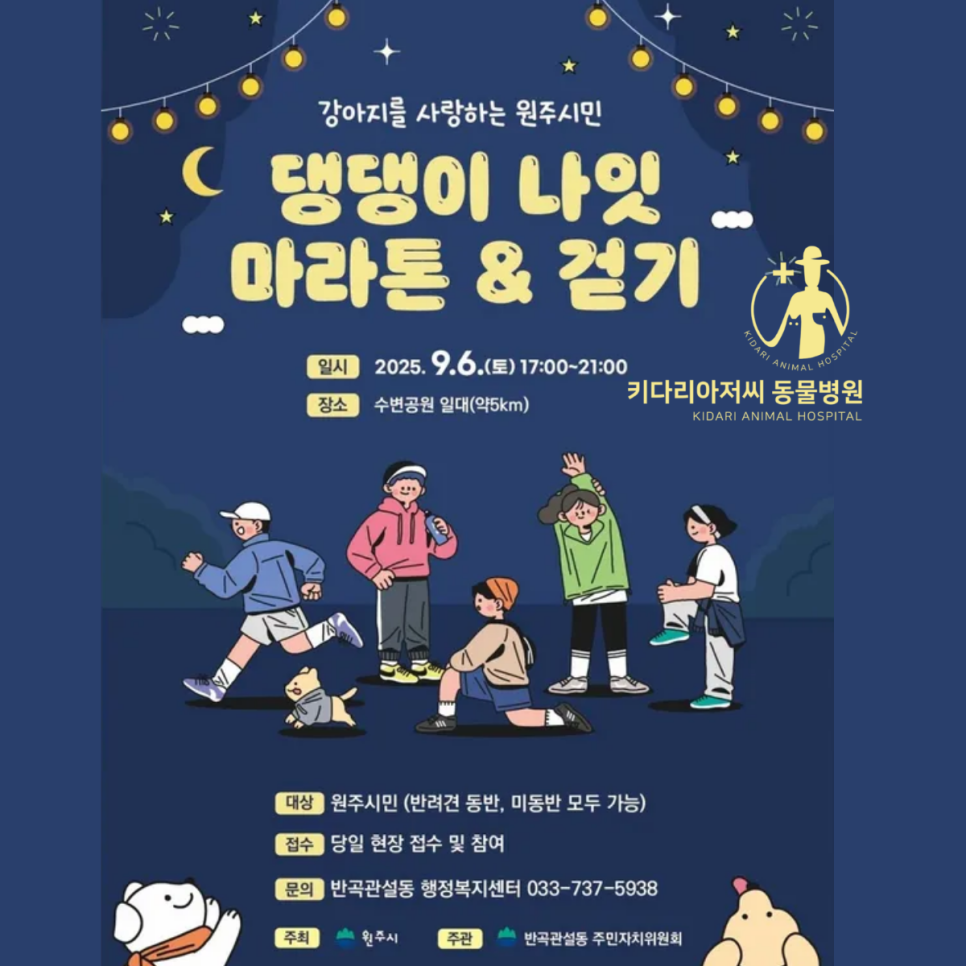 키다리아저씨동물병원 사진 1
