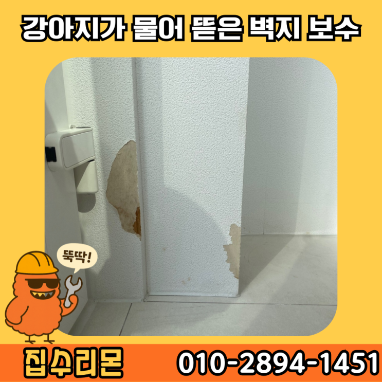  벽지 찢어짐 뜯어짐 들뜸 부분 보수 셀프 비용 및 방법