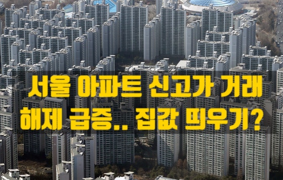  서울 아파트 실거래가 신고가 거래·계약 해제 폭증