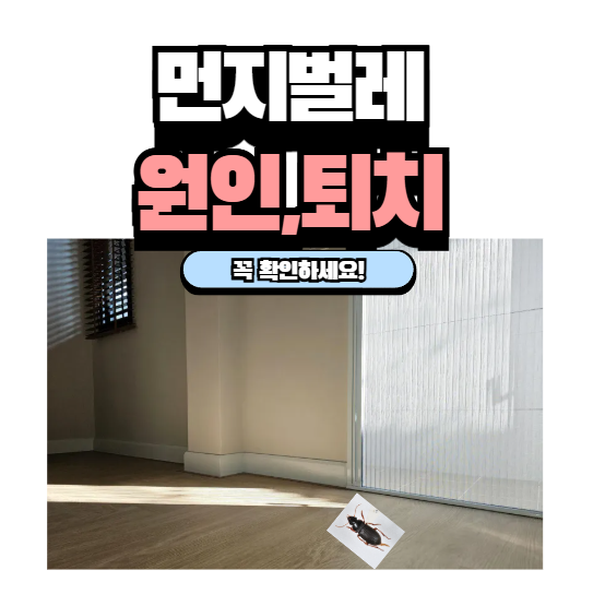 먼지벌레 원인 새끼 퇴치 유충 종류 바퀴벌레