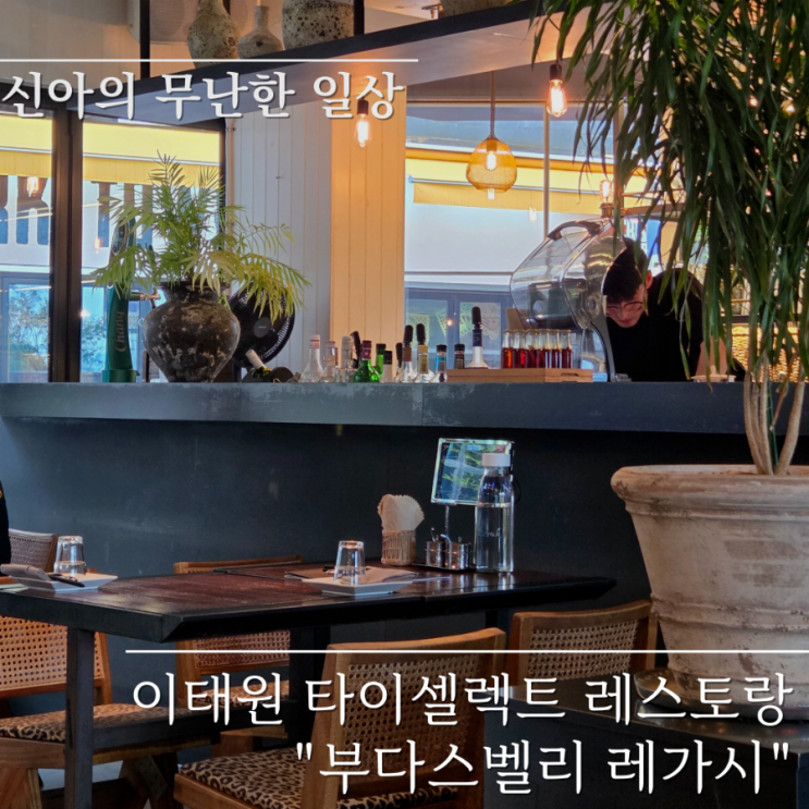  이태원 타이 셀렉트 레스토랑 부다스벨리 레가시 내돈내산 후기