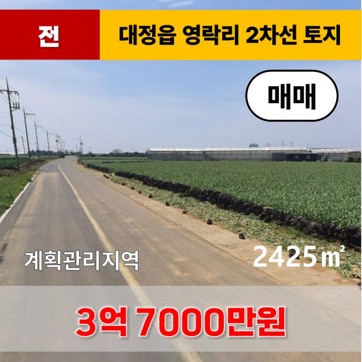  《제주도토지》 대정읍 영락리 2차선 계획관리 전 매매