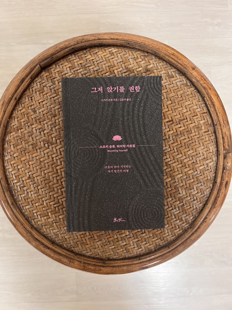  선불교 관련 서적 그저 앉기를 권함 서평