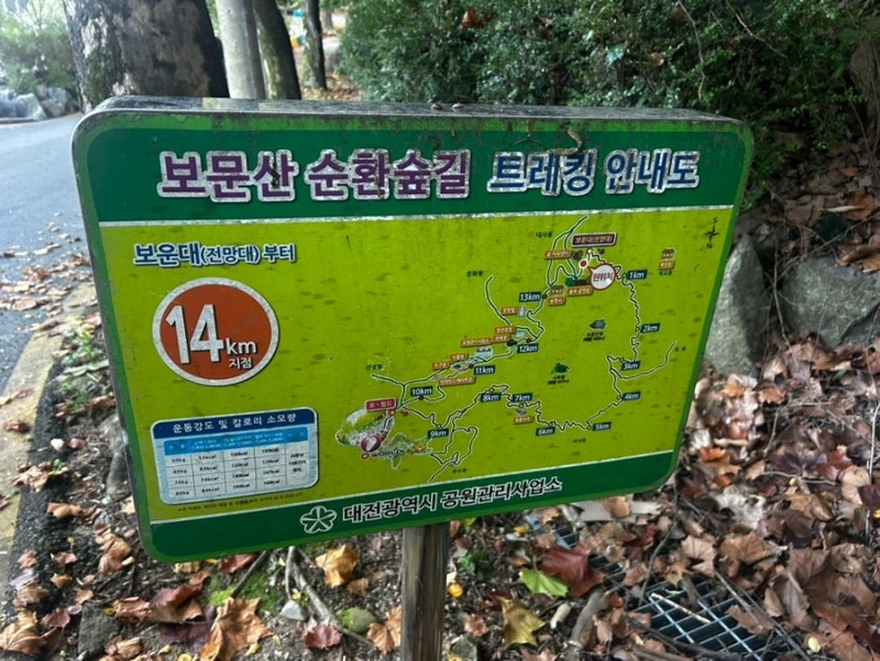 보문산 행복 숲 둘레길 사진 3