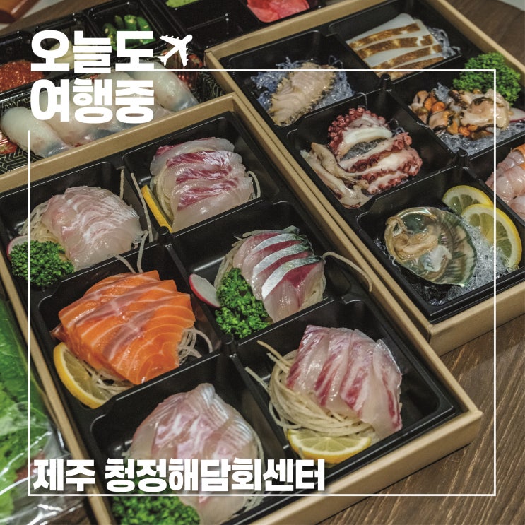  제주 협재 횟집 청정해담회센터 | 다양한 회와 해산물을 담은 시그니처세트