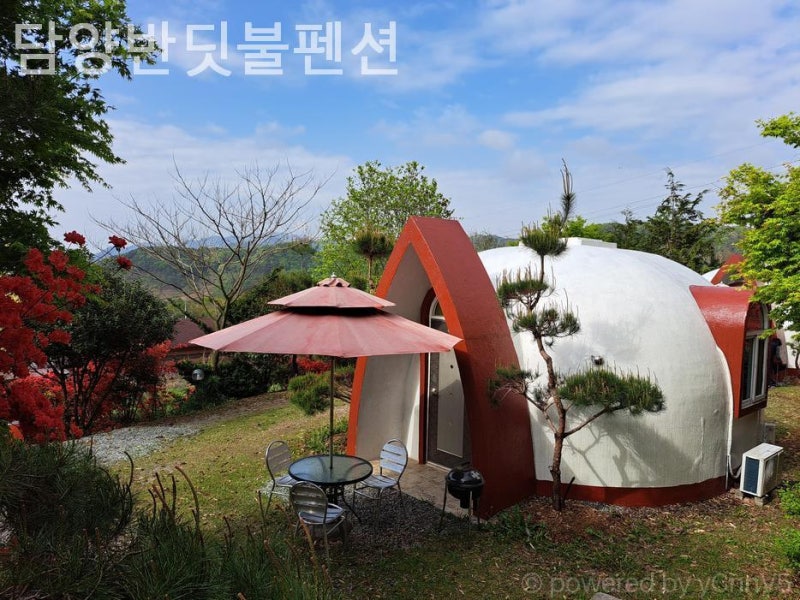 사진 9
