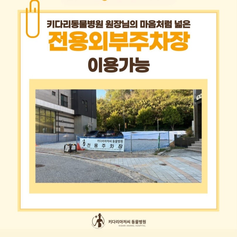 키다리아저씨동물병원 사진 3