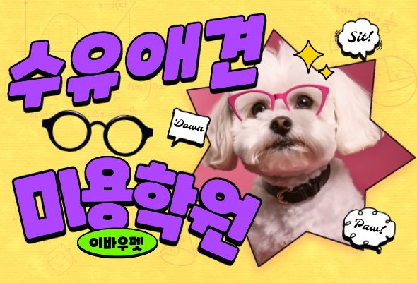  수유애견미용학원｜합격률·실습·창업 지원 이바우펫