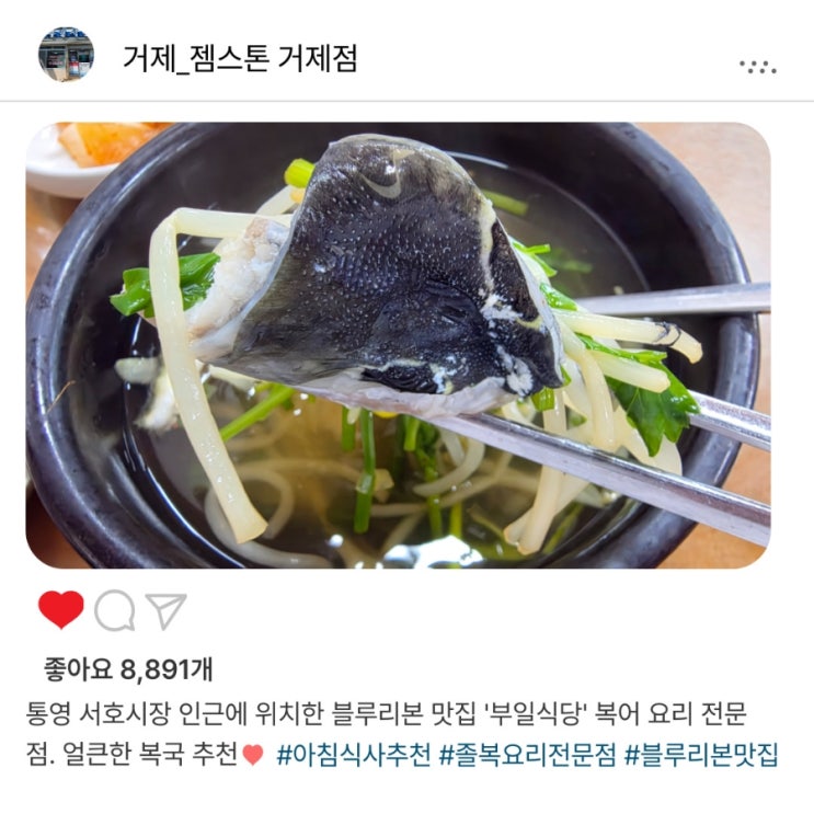   통영 블루리본 맛집️ '부일식당' 복국 한 그릇으로 속까지 풀리는 한 끼