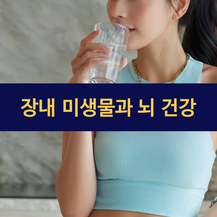  장내 미생물이 뇌 건강 좌우한다... 프로바이오틱스로 우울감과 불안 개선 가능성 열려