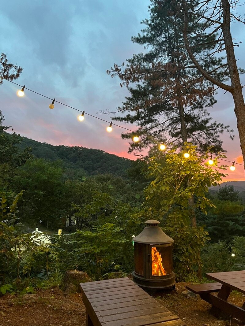 사진 6