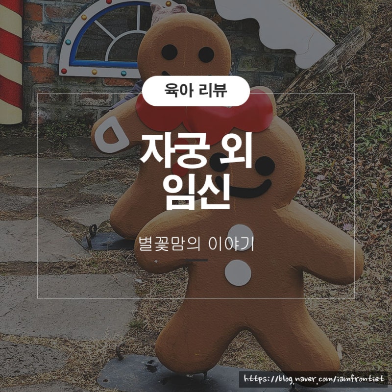 자궁외임신 수술 비용 임테기 증상 통증