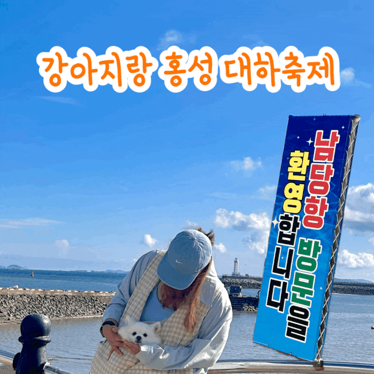  충남 홍성 애견 동반 가볼 만한 곳 남당항 대하축제 가격 주차