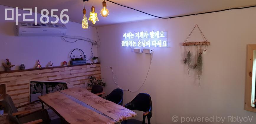 마리856 사진 1