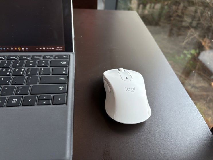  로지텍 M650 무소음 마우스 3년 사용 솔직 후기: 아직도 추천하는 이유 (M650L 사이즈 비교, 장단점 총정리)