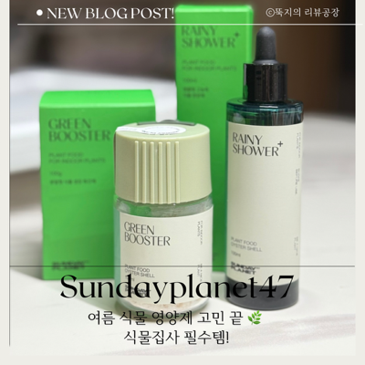 여름,가을 식물영양제 추천 레이니샤워 플러스 + 그린부스터로 식물집사 레벨업!