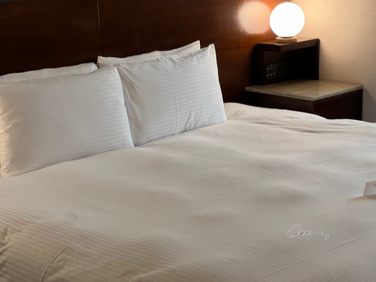  대만 타이베이 가성비 숙소, 비아 호텔 브리즈(VIA Hotel Breeze)