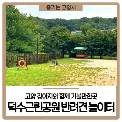 사진 3