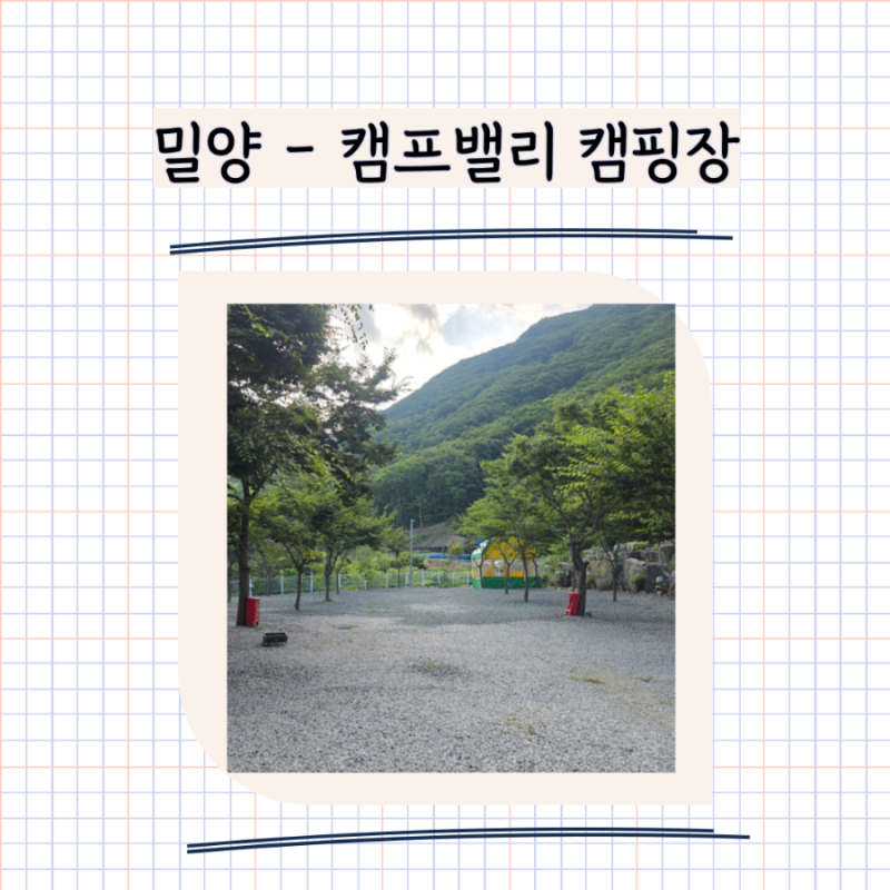 사진 6
