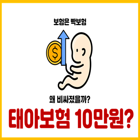  태아보험 보험료 10만원 넘어가는 2가지 이유