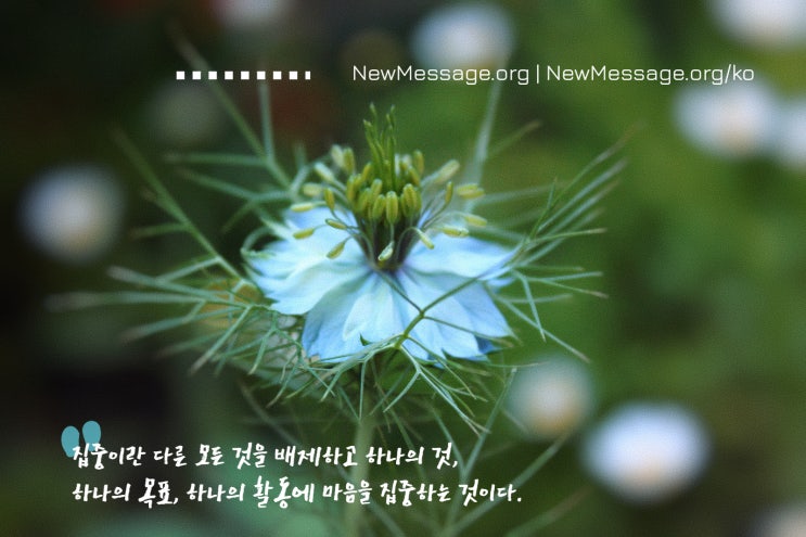 집중은 마음의 특별한 활동