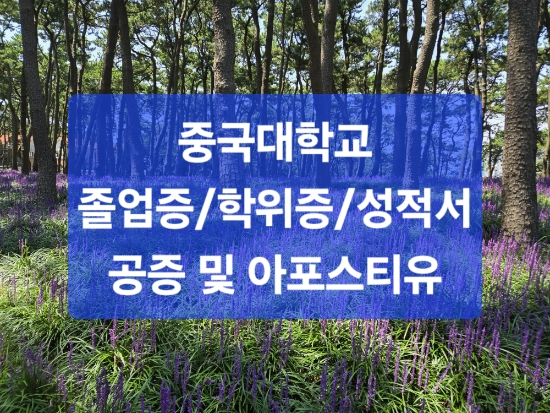  중국대학교 졸업증, 학위증 번역공증