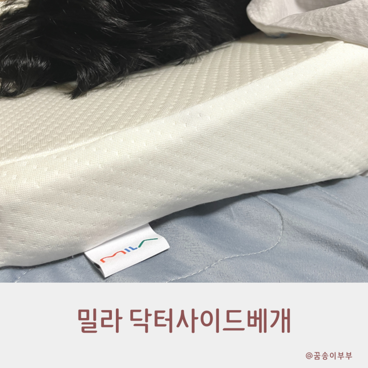  밀라 닥터사이드베개 옆으로 자도 편해요
