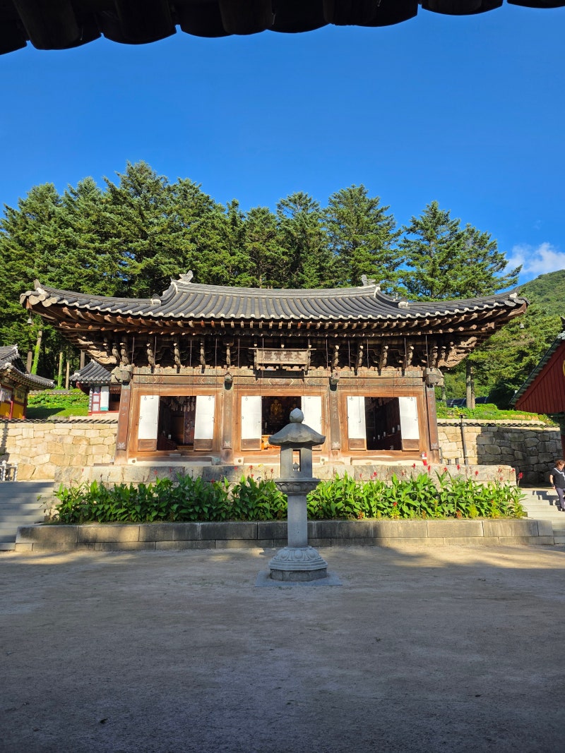 정책지식 2025.9.1. : 네이버 블로그