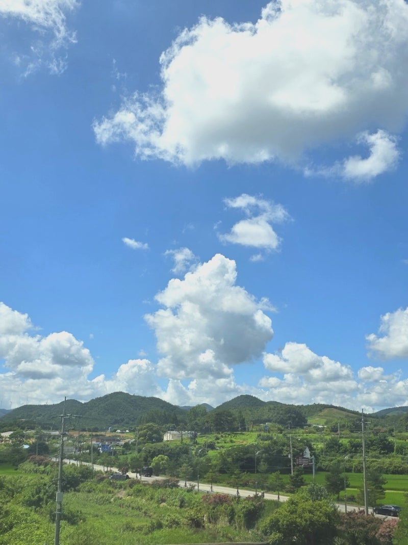 사진 9