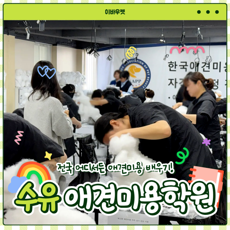  수유애견미용학원 : 오랫동안 사용할 실력, 여기서 완성해요!