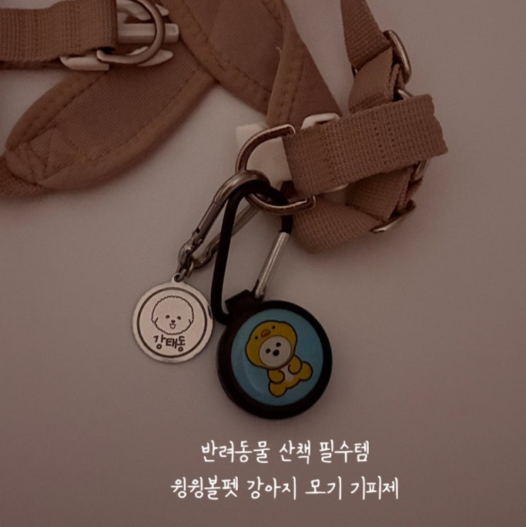  윙윙볼펫 강아지모기기피제 여름 산책 필수템