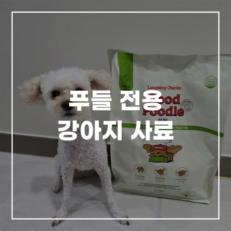  강아지 푸들 전용 사료 추천 래핑찰리 굿푸들 기능성사료
