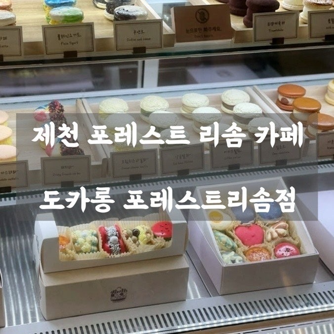 도카롱 포레스트리솜점 사진 1