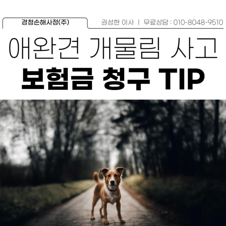  애완견, 개물림사고 보험금 청구 TIP과 소비자 선임권제도