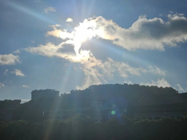  당신의 인생을 바꿀 비밀: 정명석 목사님의가르침으로 '나'를 변화시킨 이야기
