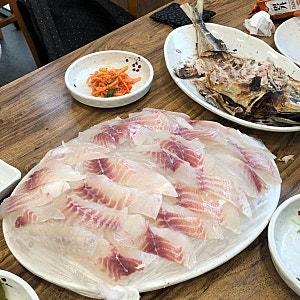 [제주 한달살기 맛집] 제주시청 근처 현지인 회 맛집 '백선횟집'에서 따치회 내돈내산