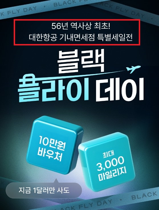  대한한공 스카이샵 기내면세점 블랙플라이데이 선물 쇼핑 리스트 특별세일정보