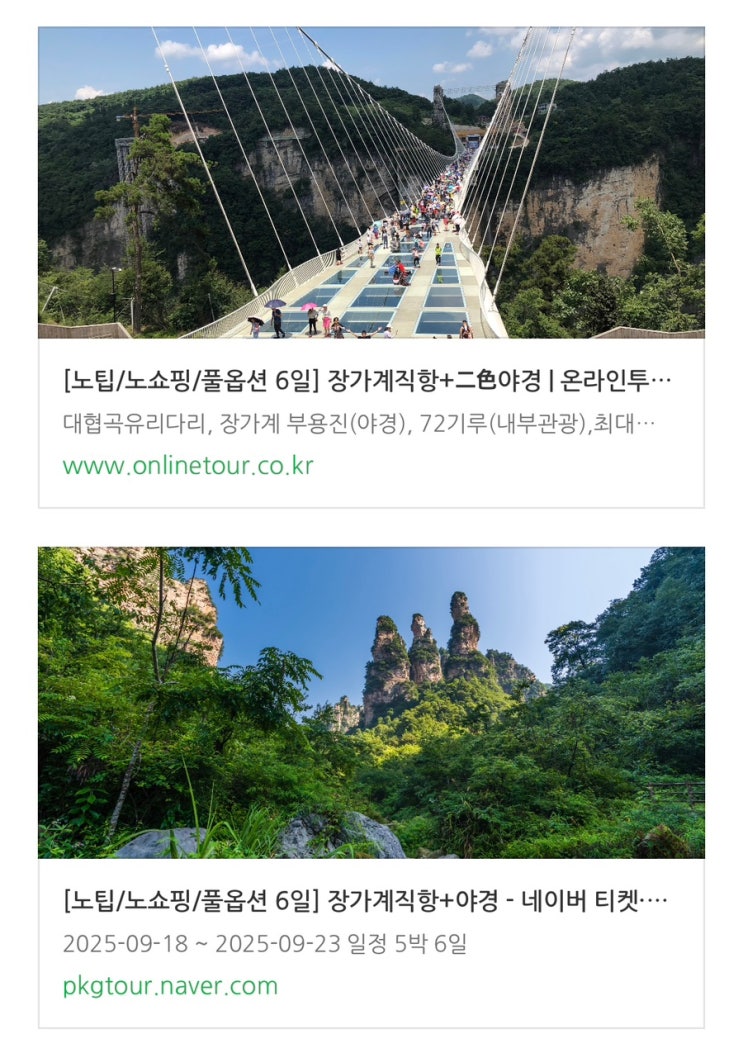  장가계 패키지 여행기  (1) 효도여행으로 정한 이유 - 온라인투어 선택 이유/패키지 예약 100만 원 절약 후기/9월/노팁/노쇼핑/직항/에어서울/10월