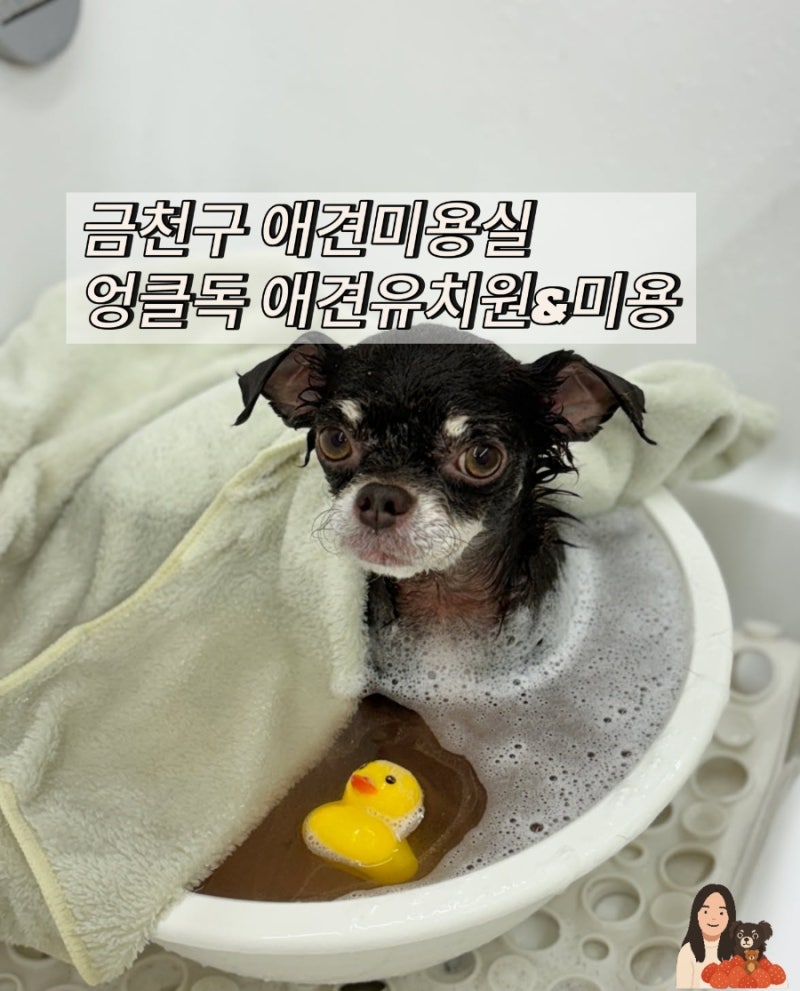 엉클독 애견유치원