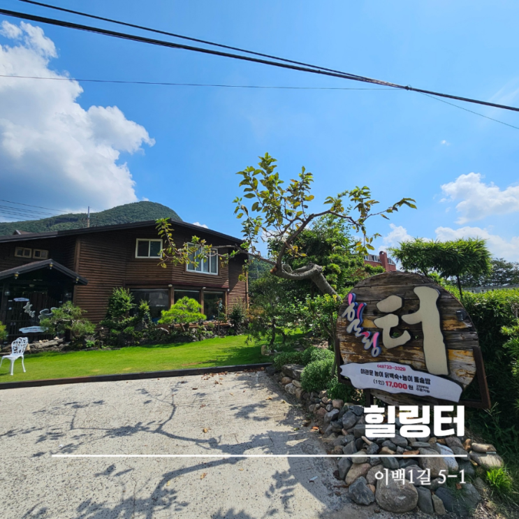  대전 근교 보양식 충북 옥천 백숙 힐링터능이백숙 가족식사로 좋아요