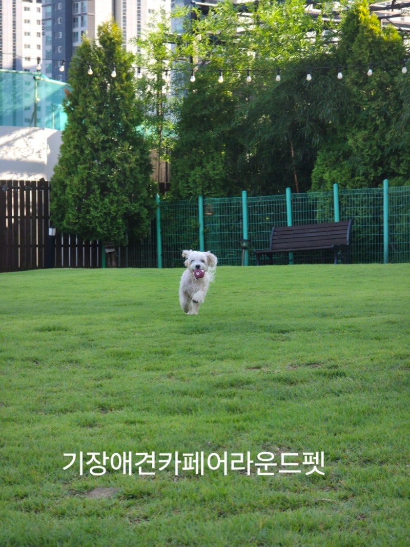 사진 5