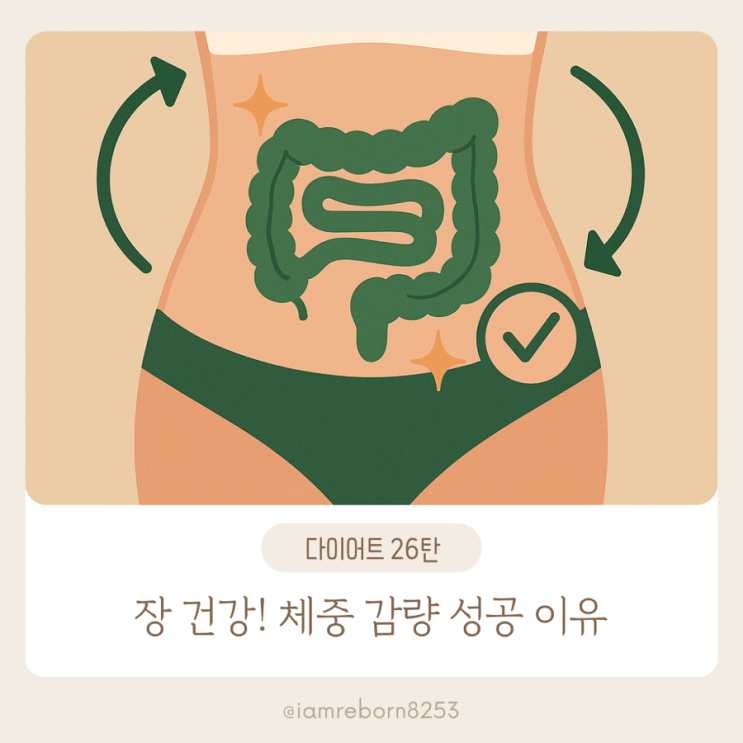  [다이어트 26탄] 장 건강이 체중 감량 성공을 좌우하는 진짜 이유