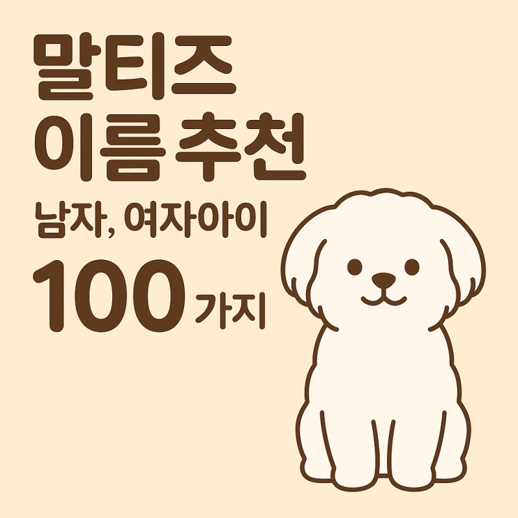  말티즈 이름 추천 남자, 여자아이 예쁜이름 100가지
