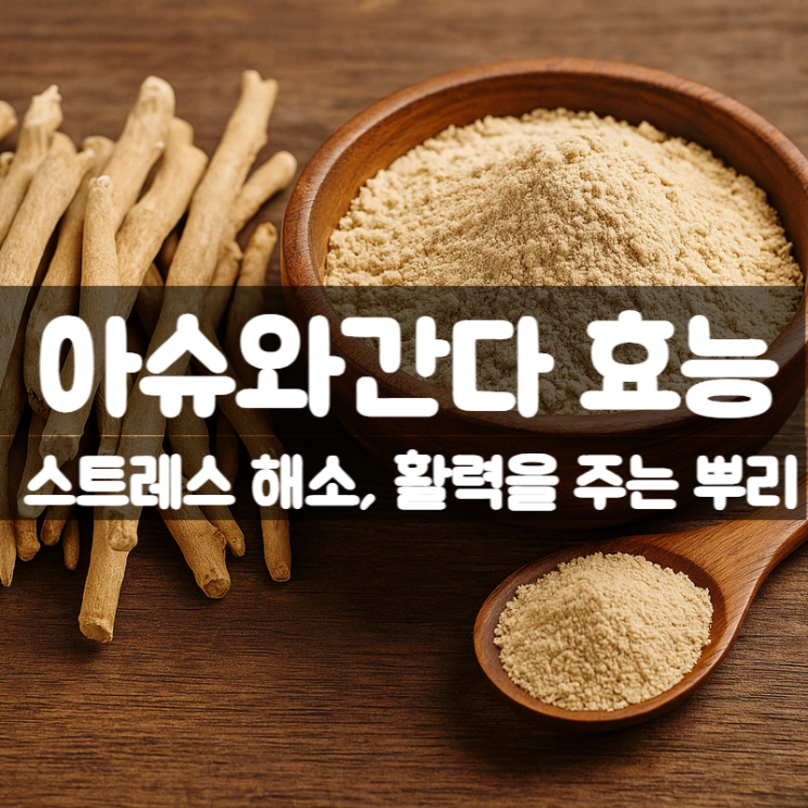  아슈와간다 효능 부작용 먹는법 – 천연 스트레스 해소와 활력의 뿌리