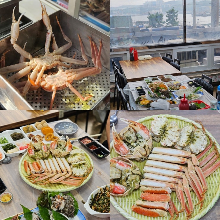  포항 구룡포대게 맛집 영일만회대게 가족식사 후기