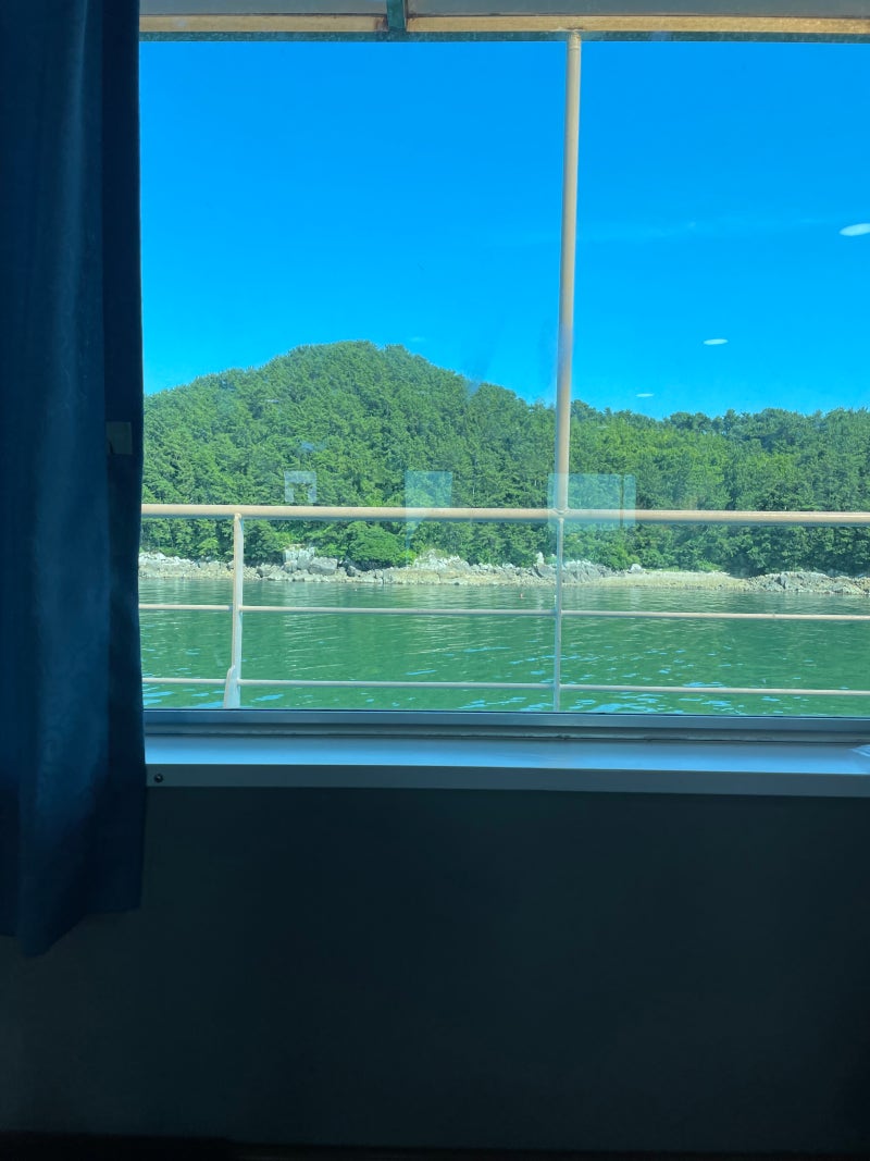 사진 5