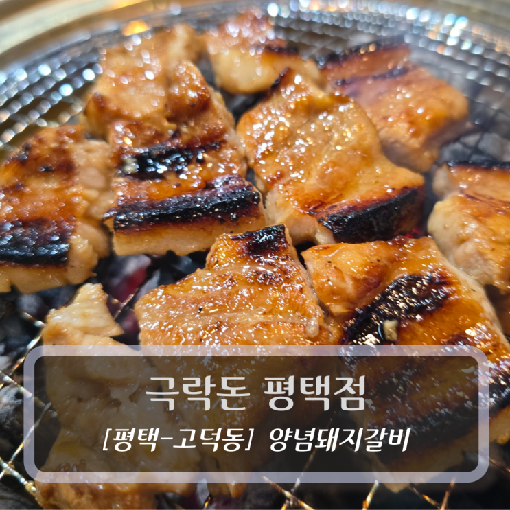  평택맛집 :: 극락돈 평택점 - 양념돼지갈비 후기